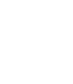 Audit Ready Logo